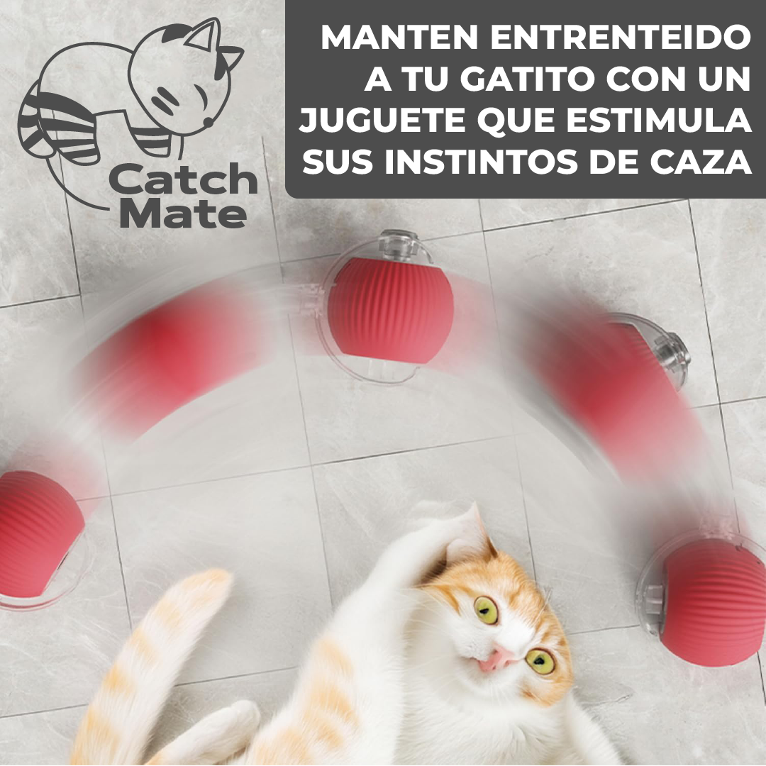 CatchMate™ - Pelota Interactiva Para Gatos