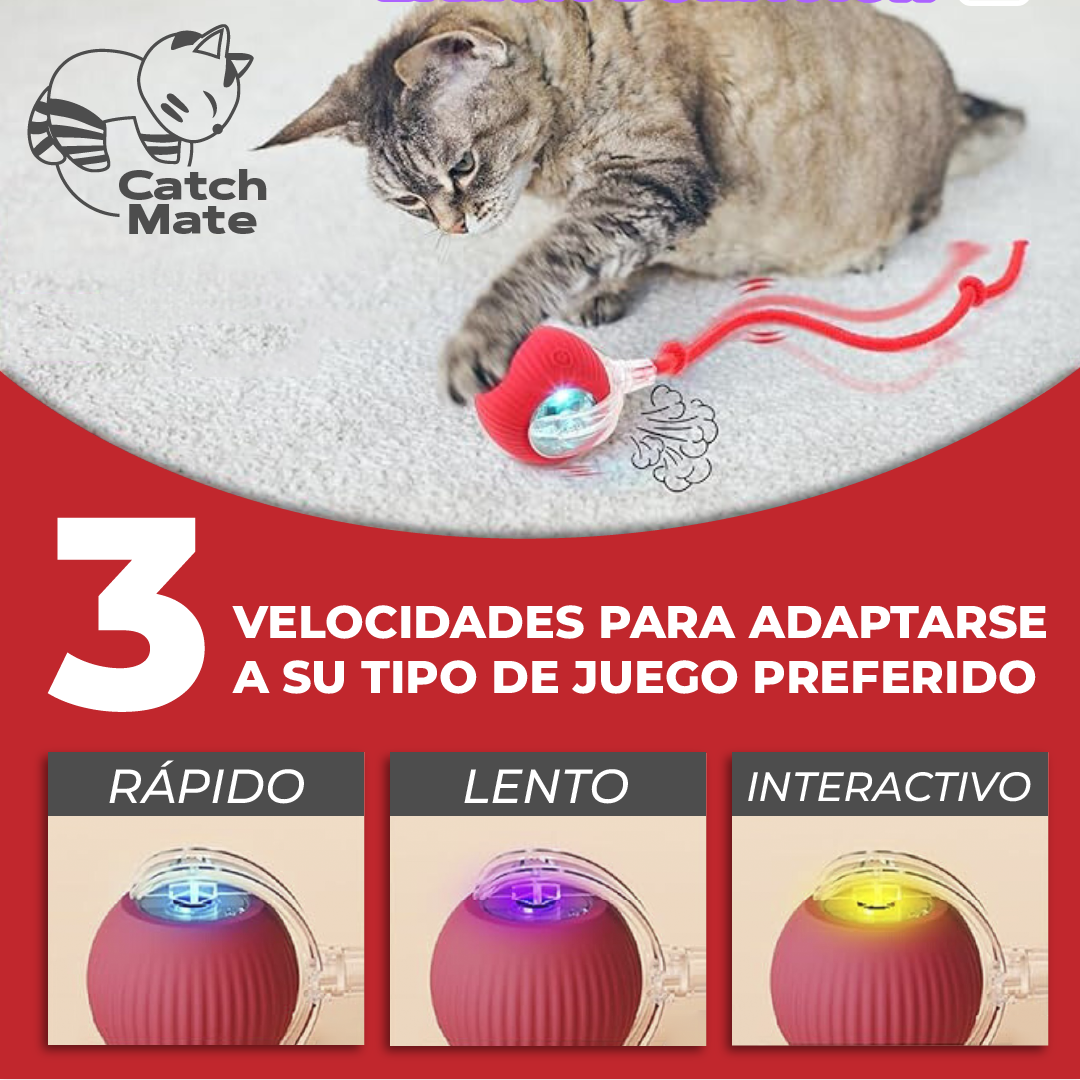 CatchMate™ - Pelota Interactiva Para Gatos