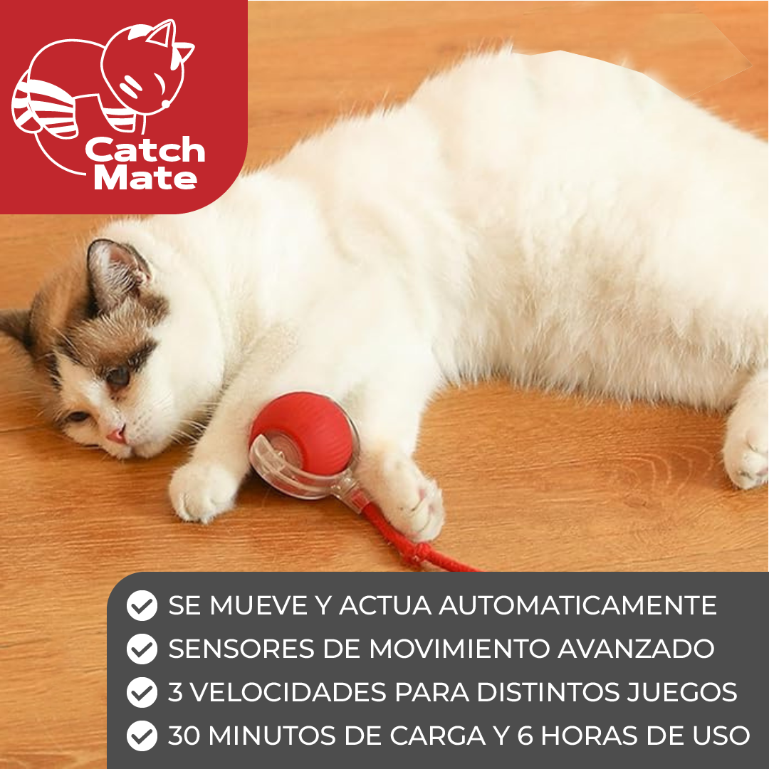 CatchMate™ - Pelota Interactiva Para Gatos