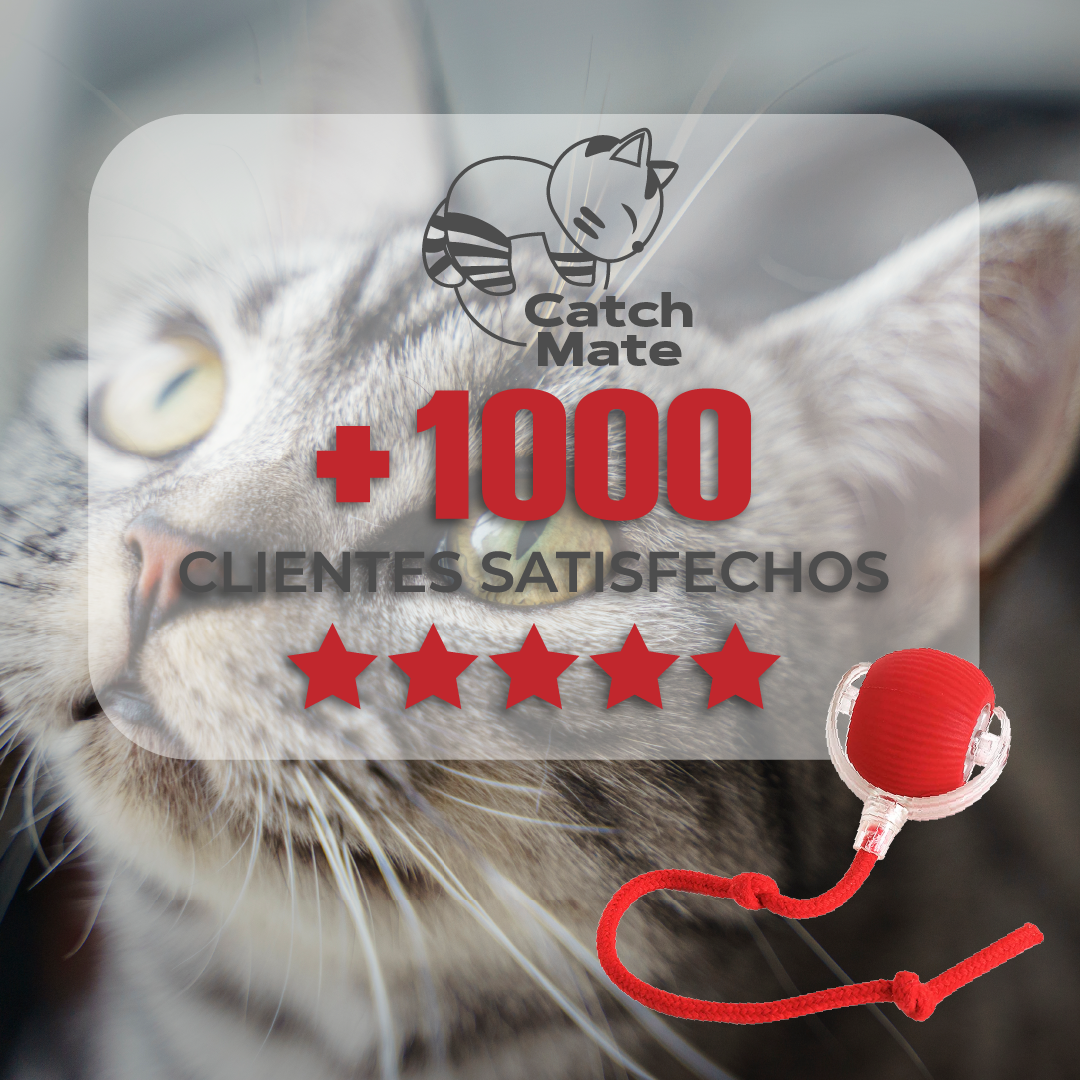 CatchMate™ - Pelota Interactiva Para Gatos