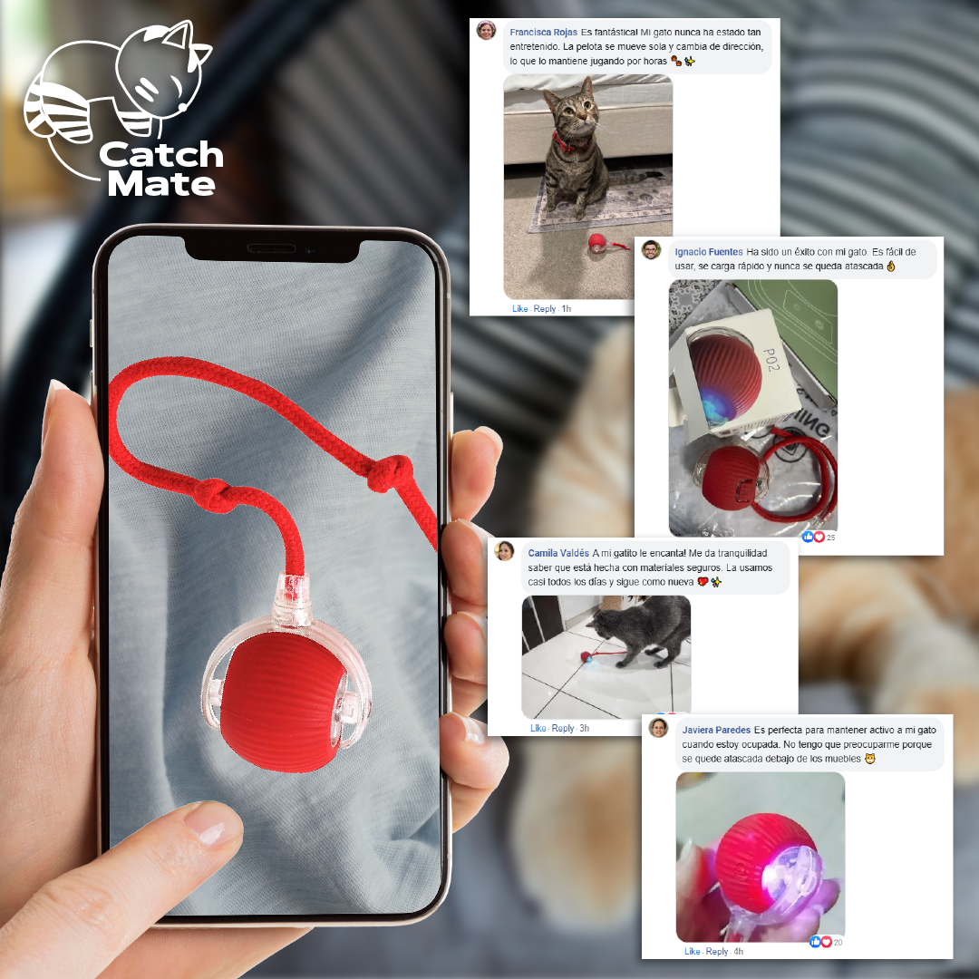 CatchMate™ - Pelota Interactiva Para Gatos