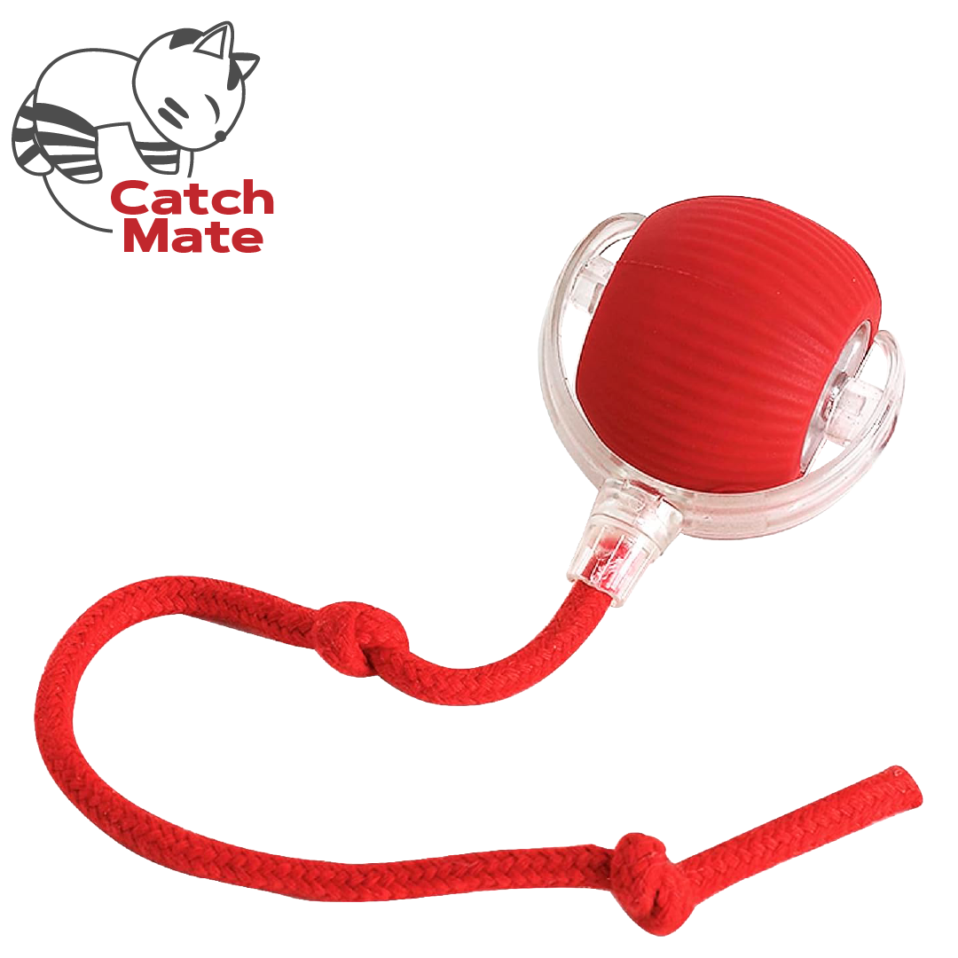 CatchMate™ - Pelota Interactiva Para Gatos