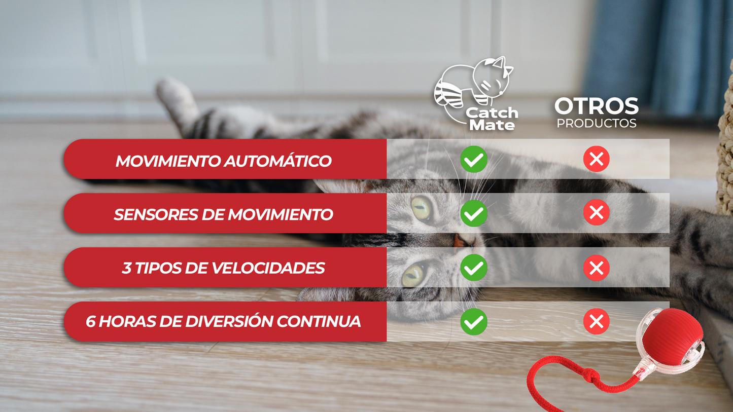 CatchMate™ - Pelota Interactiva Para Gatos