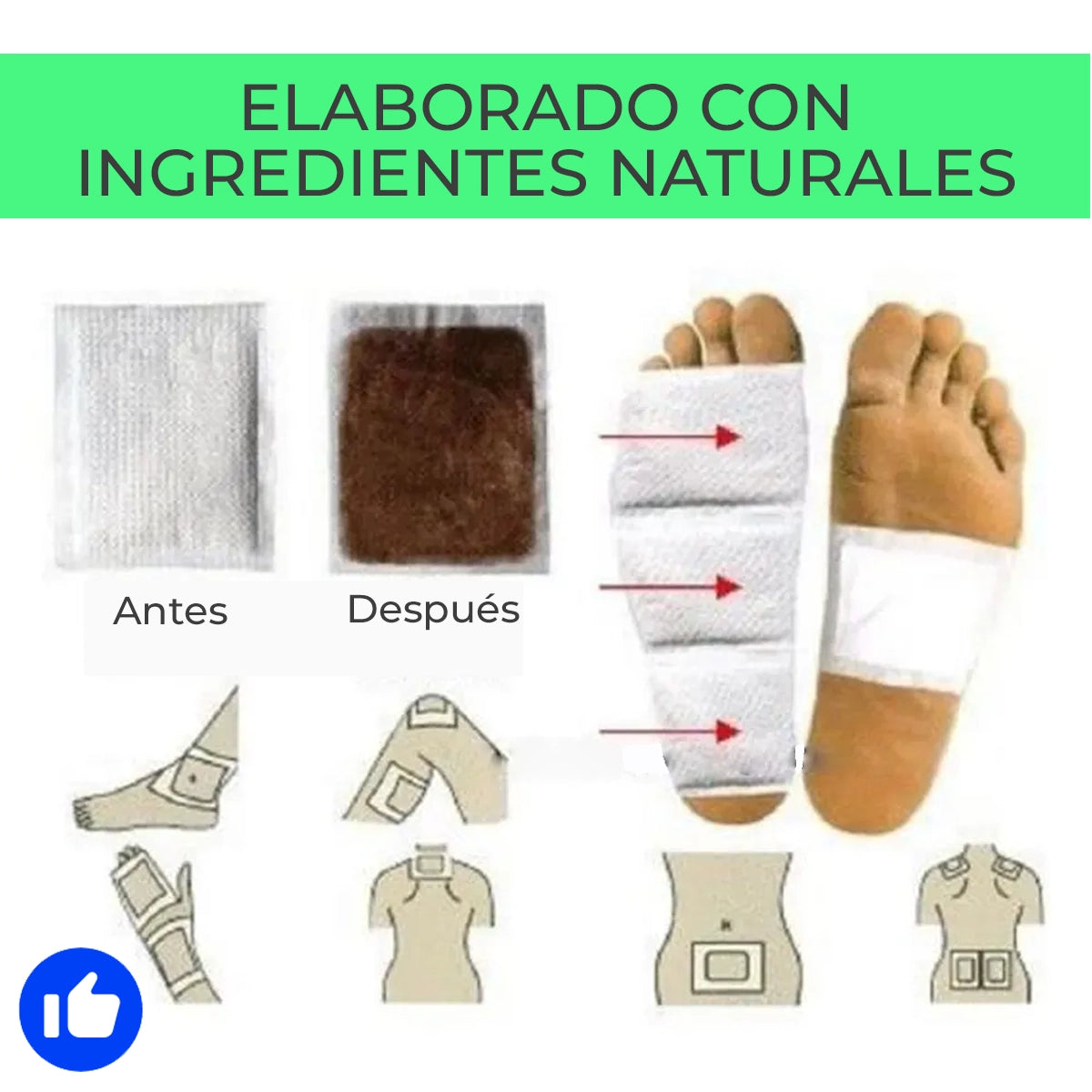 DetoxPower™ - Parches de limpieza