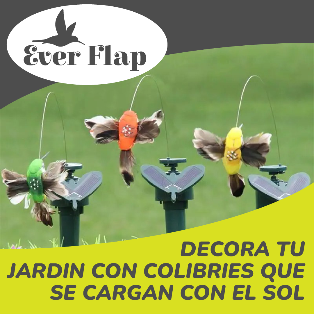 EverFlap™ - Pajaritos Voladores Solares
