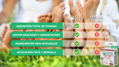 VitalFoot™ - Parches Desintoxicantes Para Pies